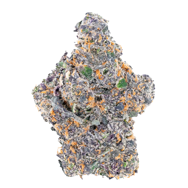 White Truffle THCa Flower Bay Smokes