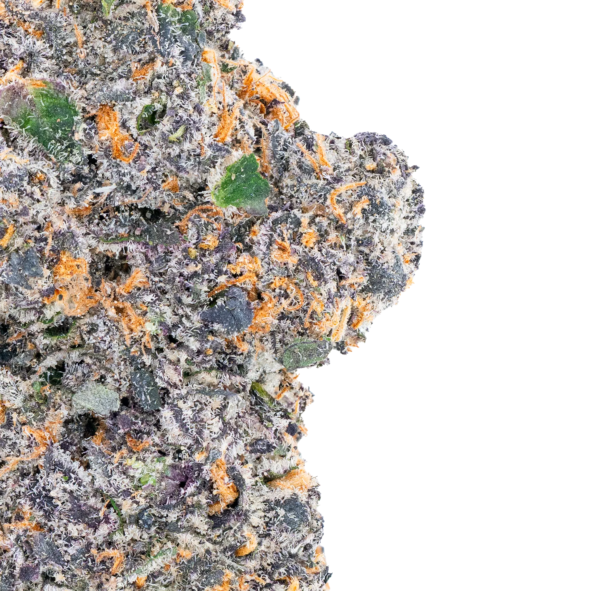 White Truffle THCa Flower Bay Smokes