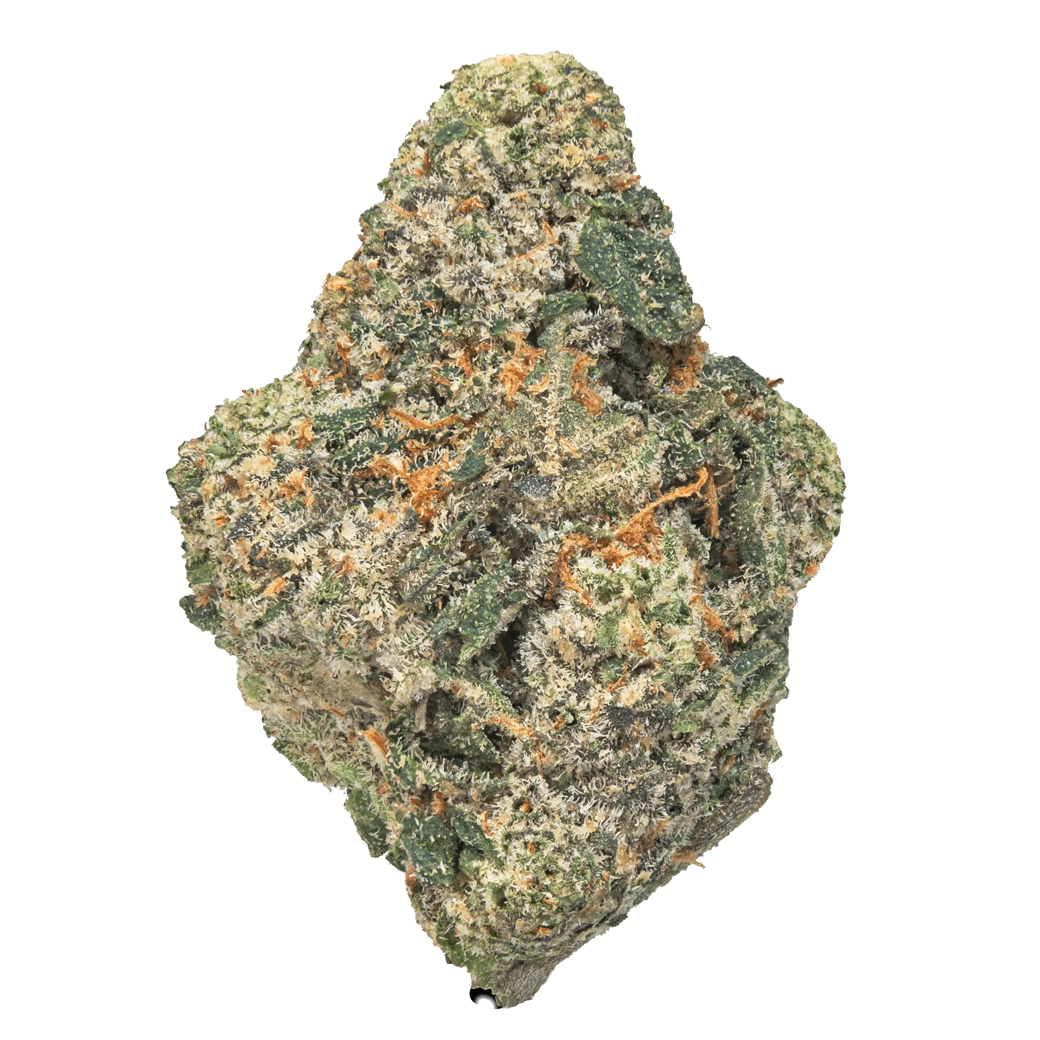 LOWEZ - Gelatti - Bay Smokes