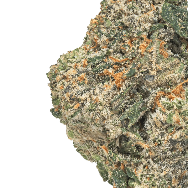 LOWEZ - Gelatti - Bay Smokes