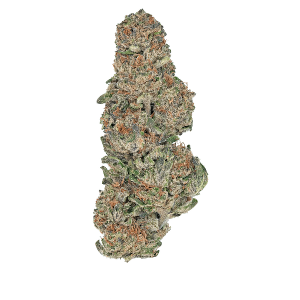 Only Gas - Greenhouse THCa Flower - Bay Smokes