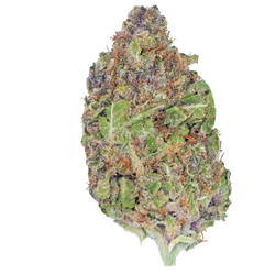 Sticky Glue - Greenhouse THCa Flower B Lou's Sticky Glue
