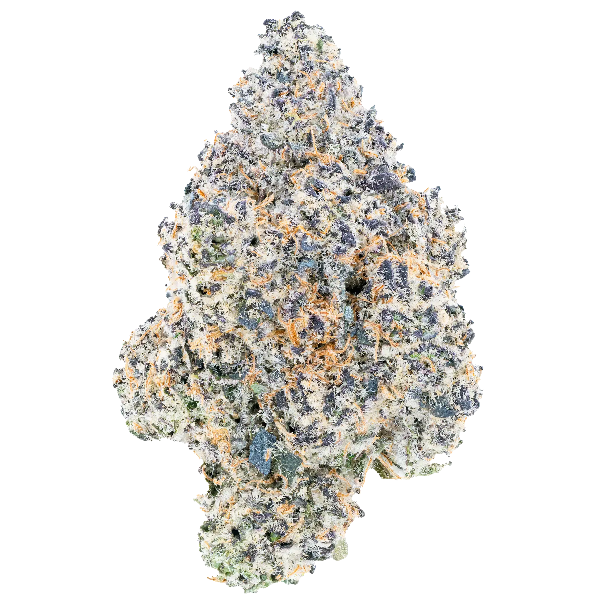 Lil Baby - WHAM! Offer Wham THC