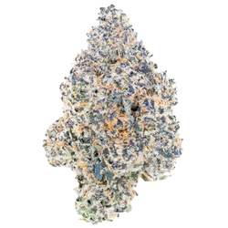 Lil Baby - Sour Diesel Wham THC