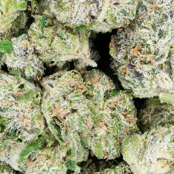 Blue Dream – THCa Flower - Bay Smokes