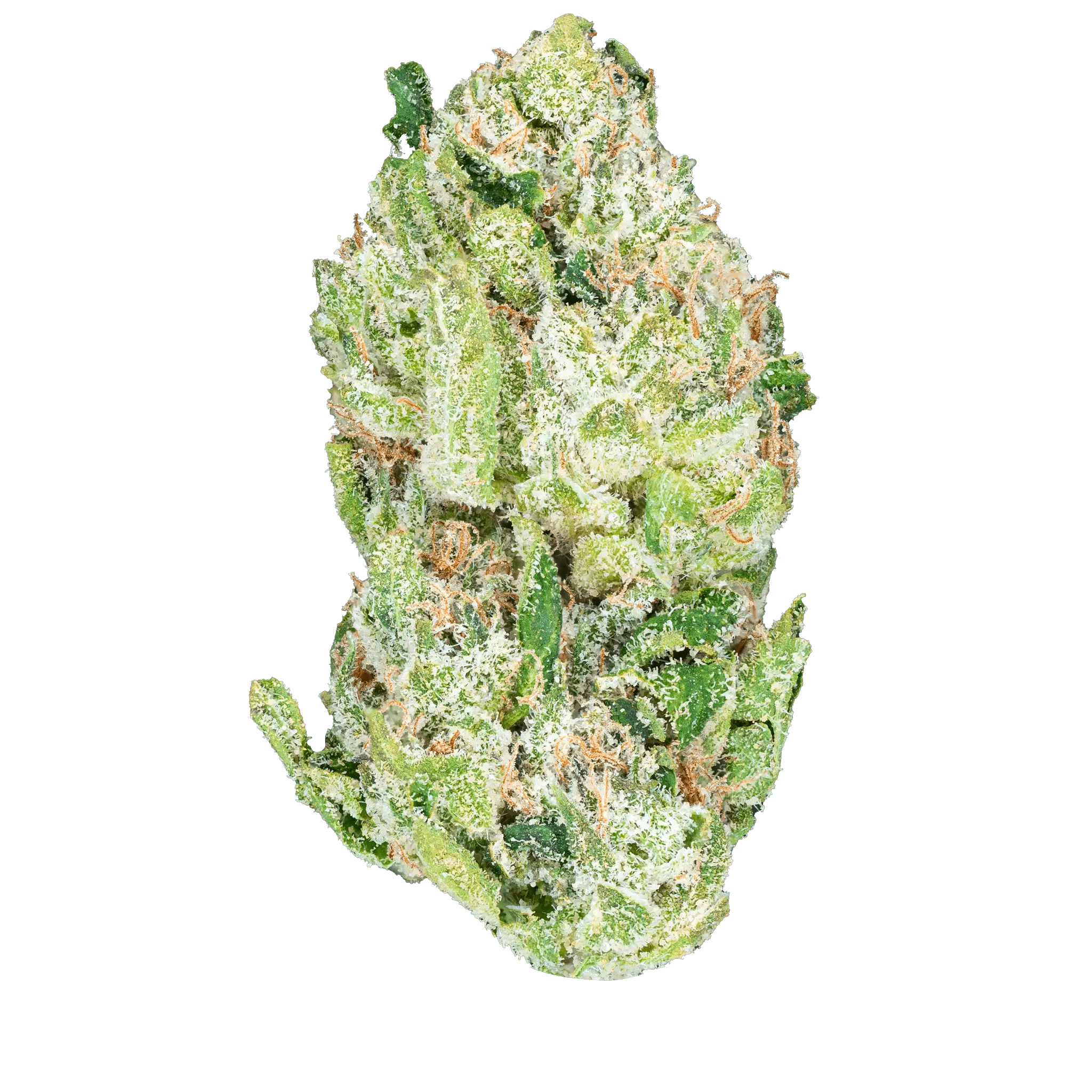 Blue Dream – THCa Flower - Bay Smokes
