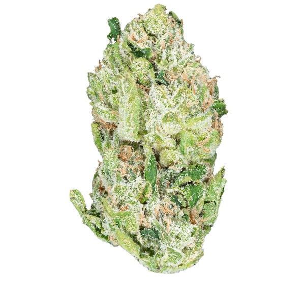 Blue Dream – THCa Flower - Bay Smokes