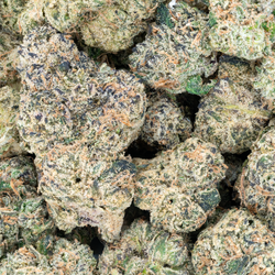 Marcador permanente - Flor de THCa