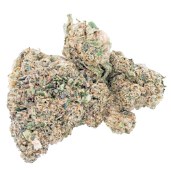 Lil Baby - Greenhouse THCa Flower Wham THC