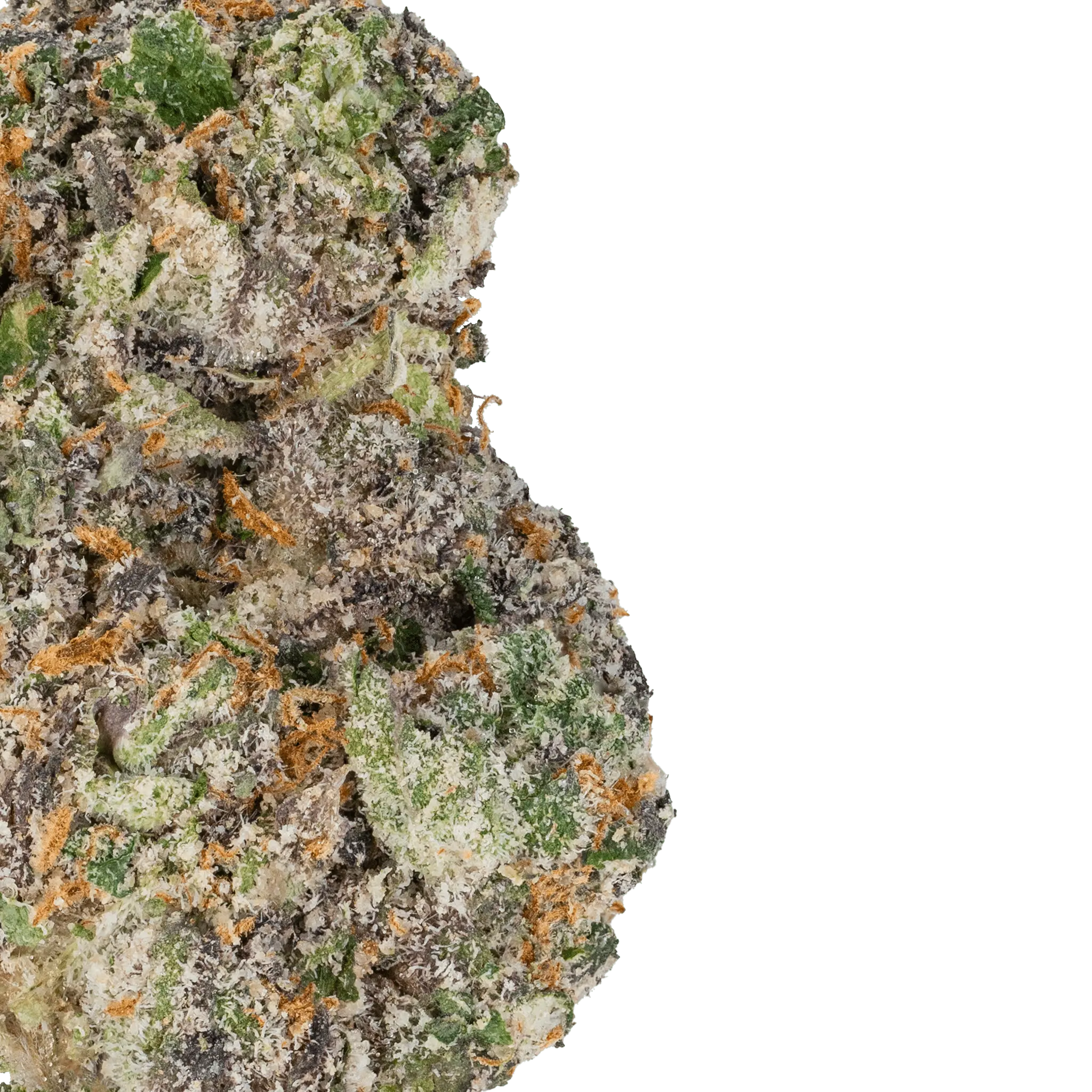 LOWEZ - Gelato 45 - Bay Smokes