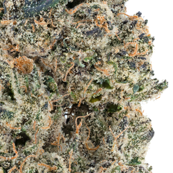 Alien ET THCa Flower