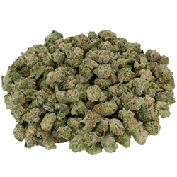 THCa Exotic Micros - Bay Smokes