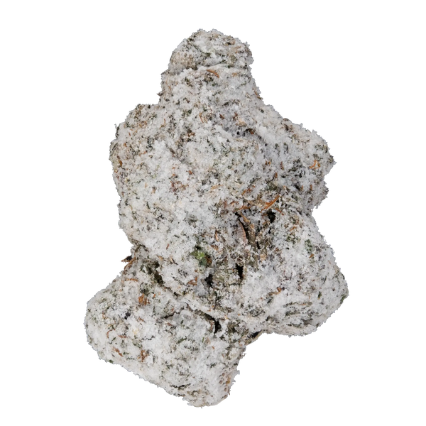 Hella Slumped - Snowballs Hella Slumped