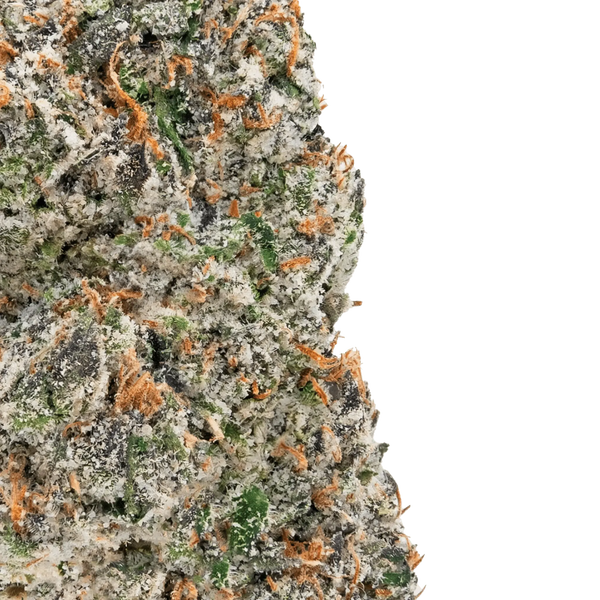 Snazzy Sesh - Exotic THCa Flower - Bay Smokes