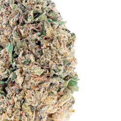 Lil Baby - Greenhouse THCa Flower Wham THC