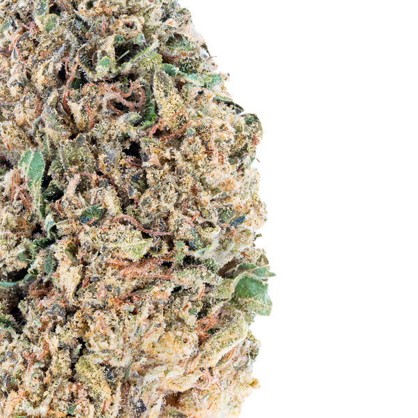 Lil Baby - Greenhouse THCa Flower Wham THC