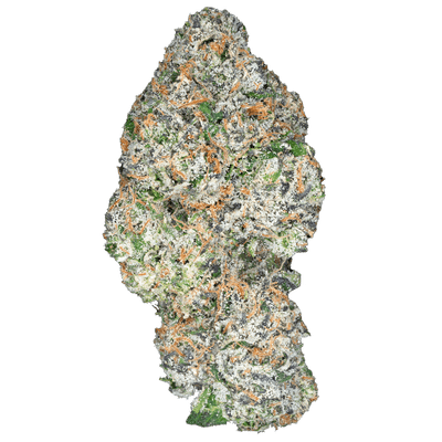 Cherry Zashimi – THCa Flower