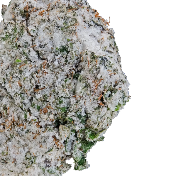 Sticky Glue - Snow Balls - THCa Flower B Lou's Sticky Glue