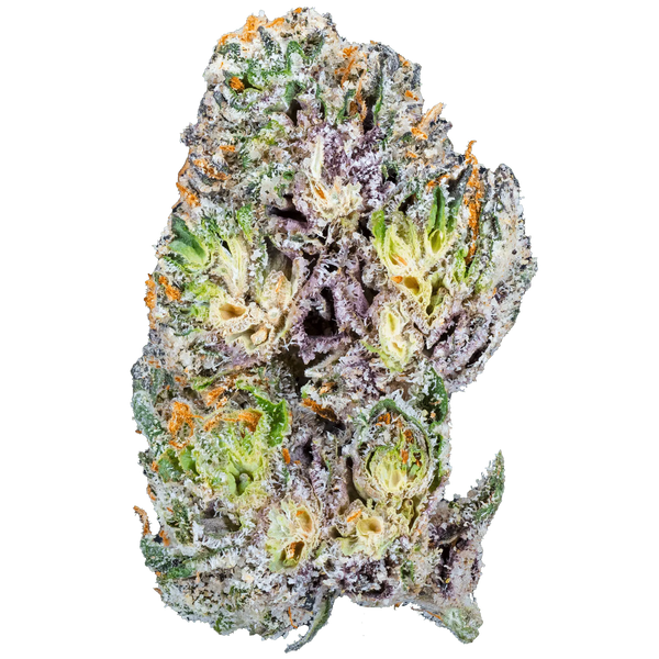 Blue Cherry Gelato– THCa Flower - Bay Smokes