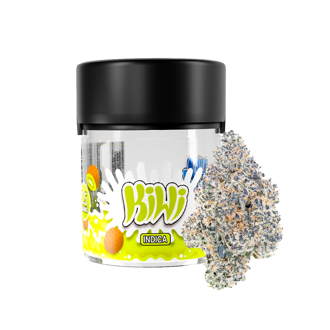 SloDown LoDown - Kiwi SloDown LoDown