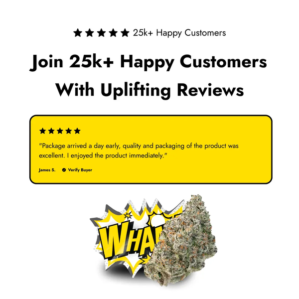 Lil Baby - WHAM! Offer Wham THC