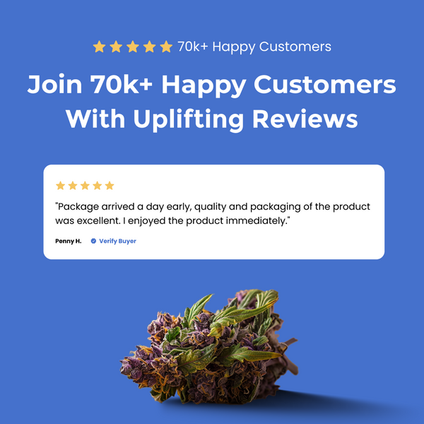 Flower Mart - Creative D9 Gummies