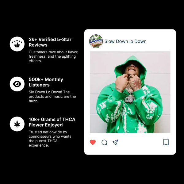 SloDown LoDown - Pineapple SloDown LoDown