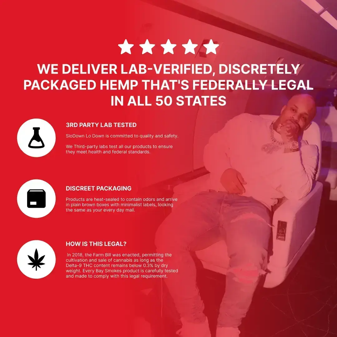 SloDown LoDown - Pineapple SloDown LoDown