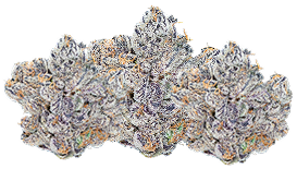 3.5g Exotic Smalls