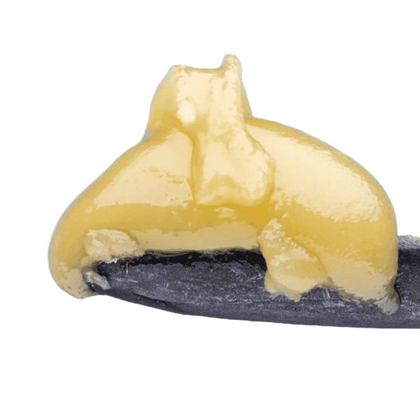 Only Gas - THCa Live Hash Rosin - Bay Smokes