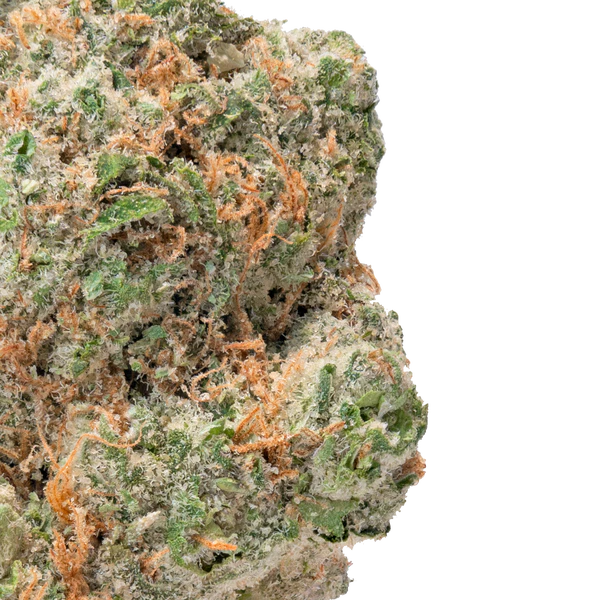 Papaya Runtz – THCa Flower close up