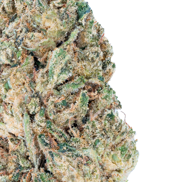 Mr. Nasty - THCa Flower Bay Smokes