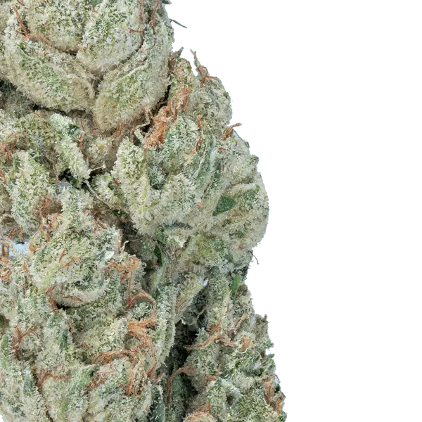 Wedding Crasher – THCa Flower - Bay Smokes
