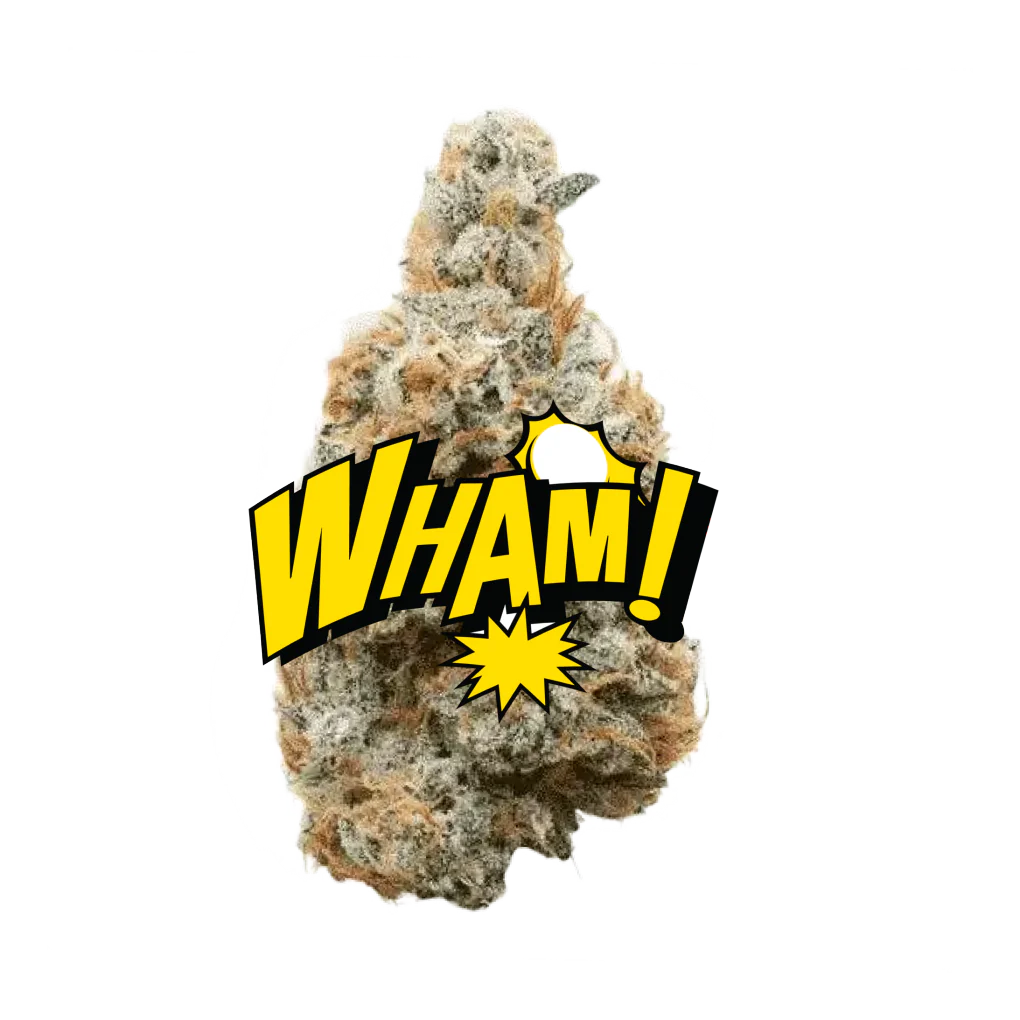 Lil Baby THC - WHAM!