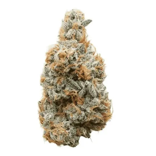 Mr. Nasty - THCa Flower - Bay Smokes