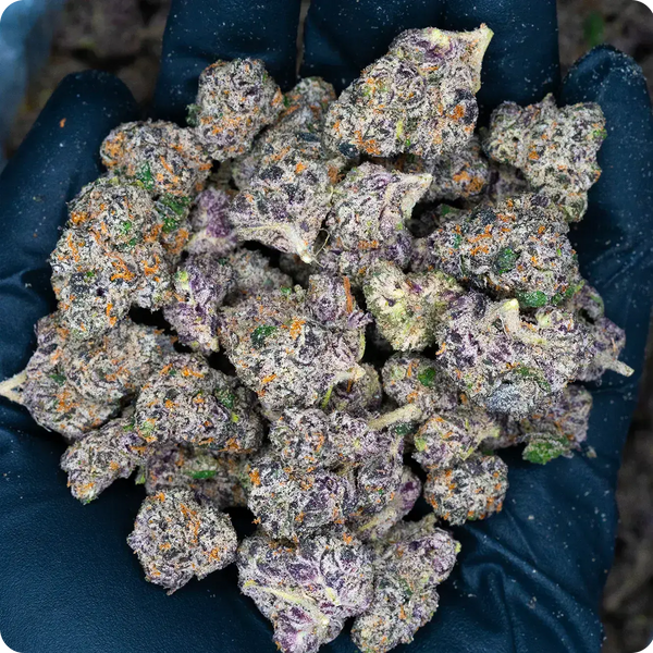 Free 8th Exotic THCa Flower Smalls Bay Smokes