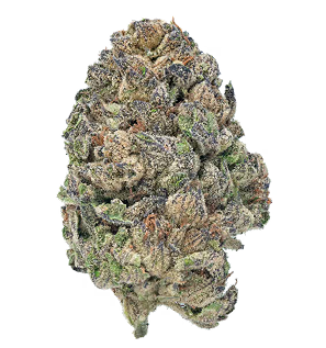 THCa Flower