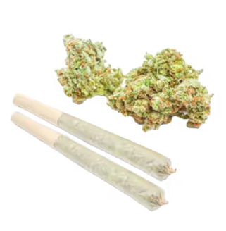 THCa Pre-Rolls