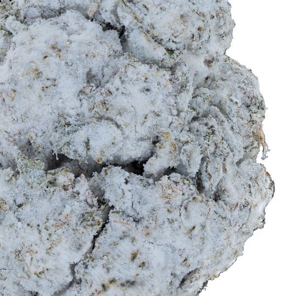 Hella Slumped - Snowballs Hella Slumped