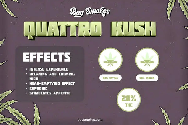 Orange Push Pop- THCa Flower Bay Smokes