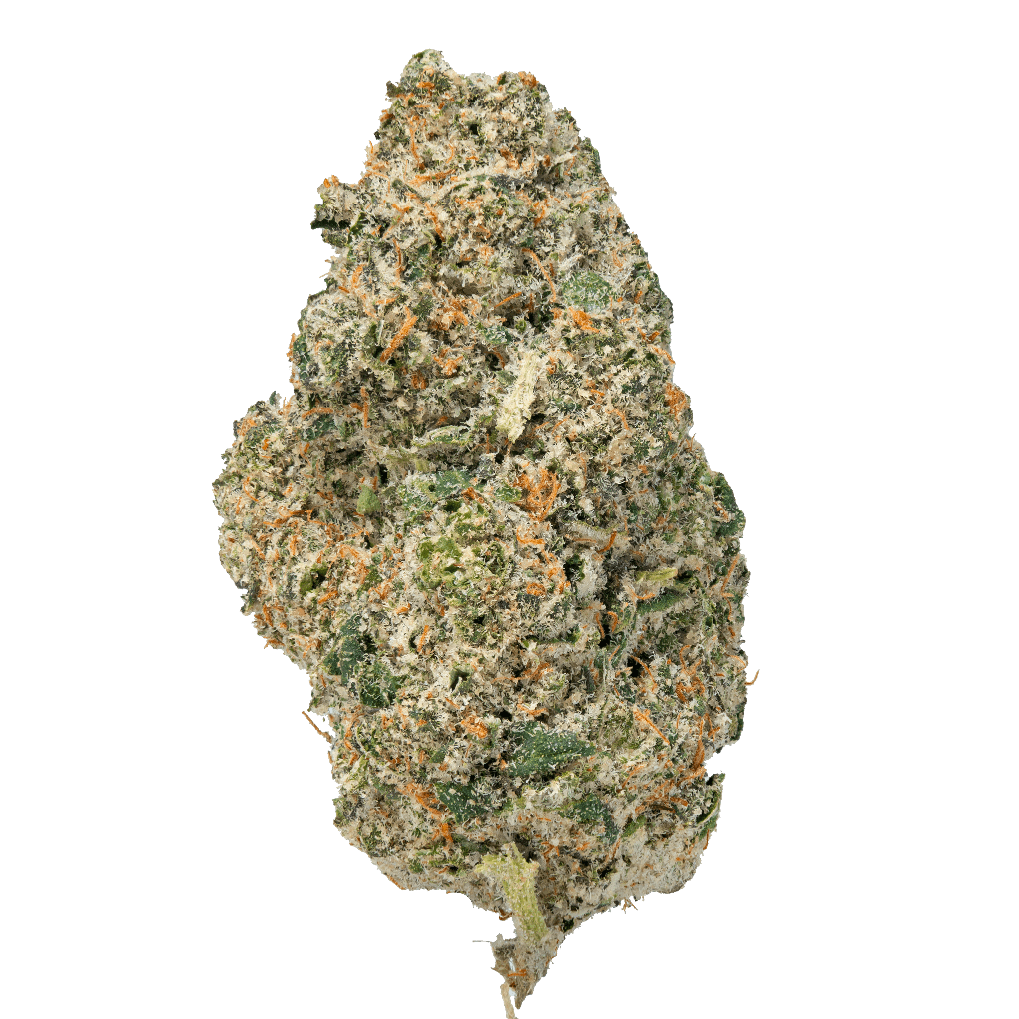 Gelato Cake – THCa Flower