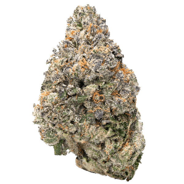 Jealousy – THCa Flower