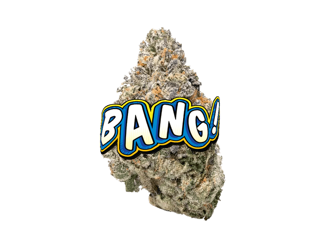 Lil Baby THC - Bang