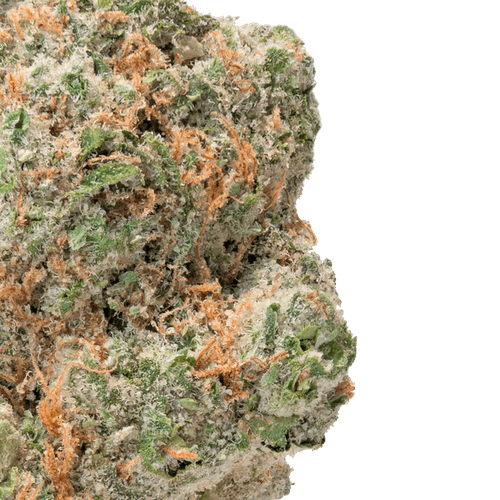 Papaya Runtz – THCa Flower
