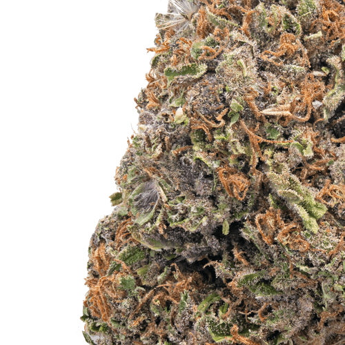 Grape Ape – THCa Flower