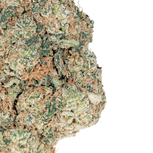 Wicked Gasoline  – Exotic THCa Flower