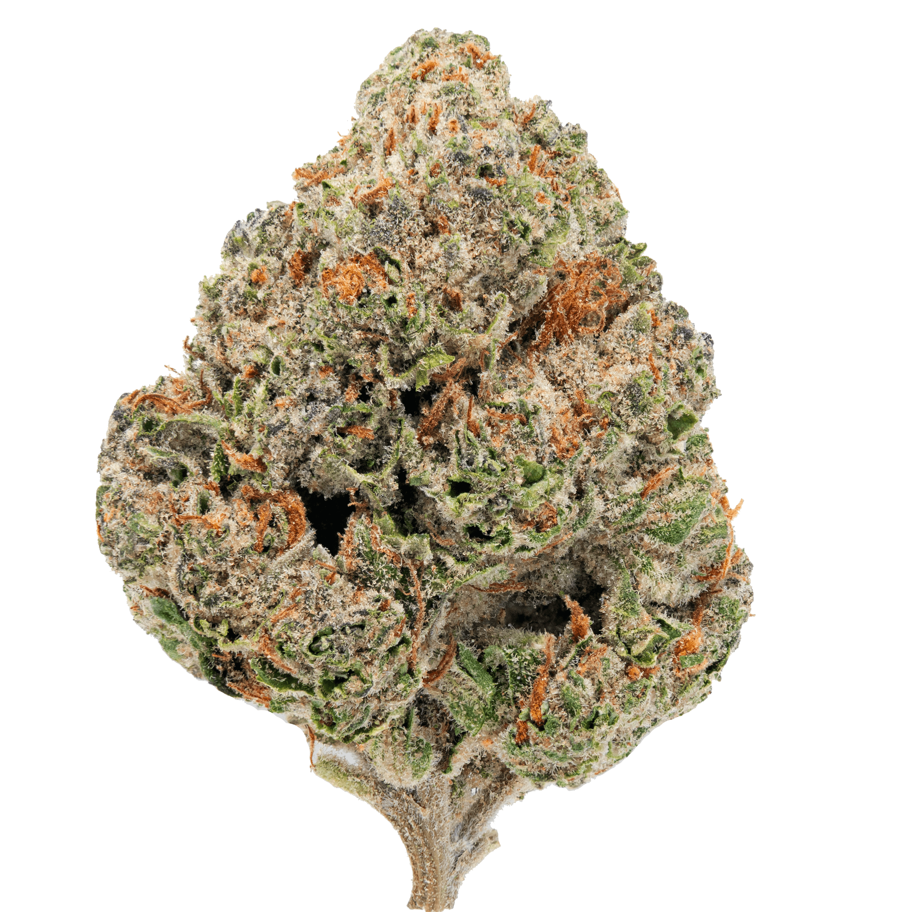 Gorilla Glue – THCa Flower