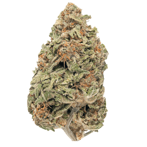 Blue Dream – THCa Flower