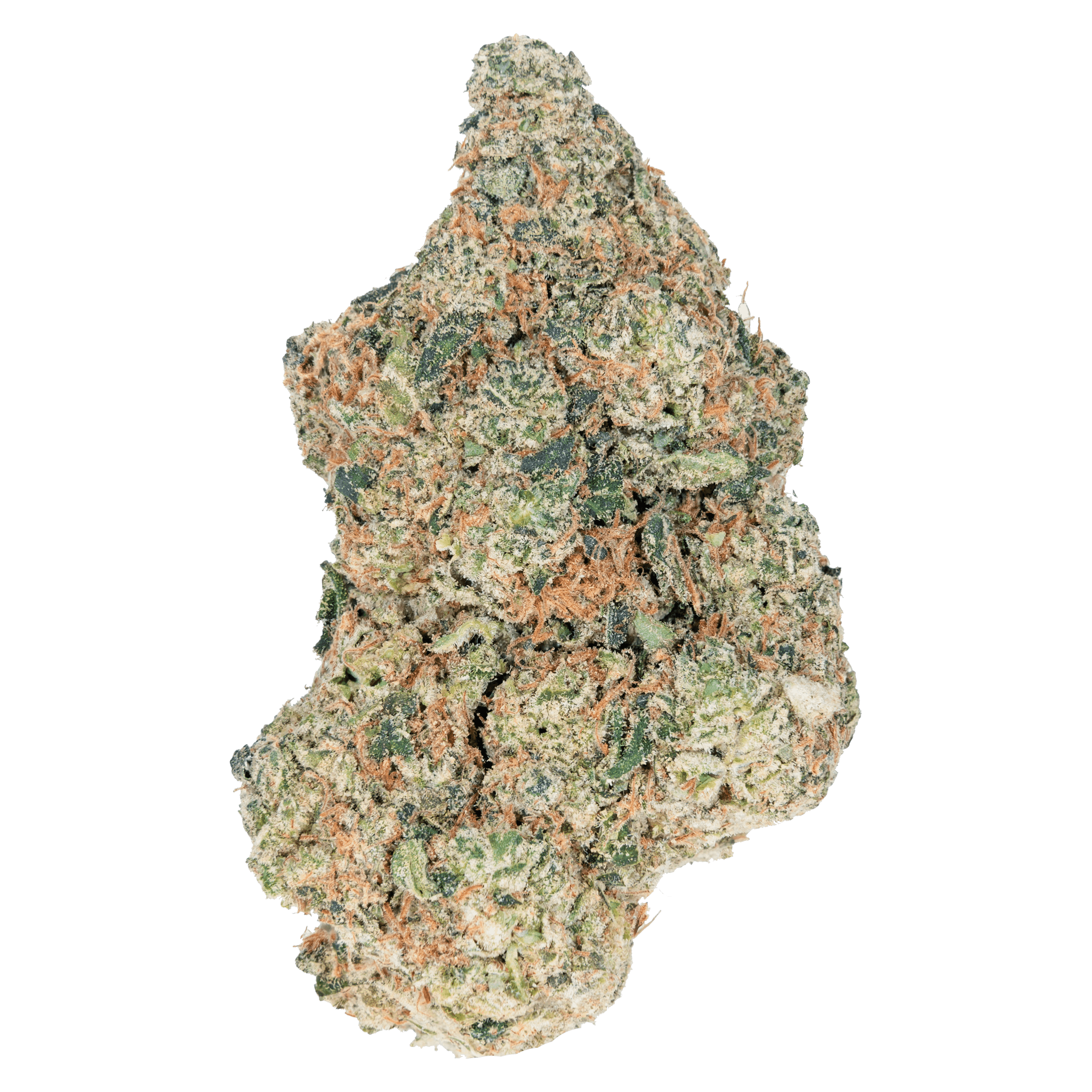 Wicked Gasoline  – Exotic THCa Flower