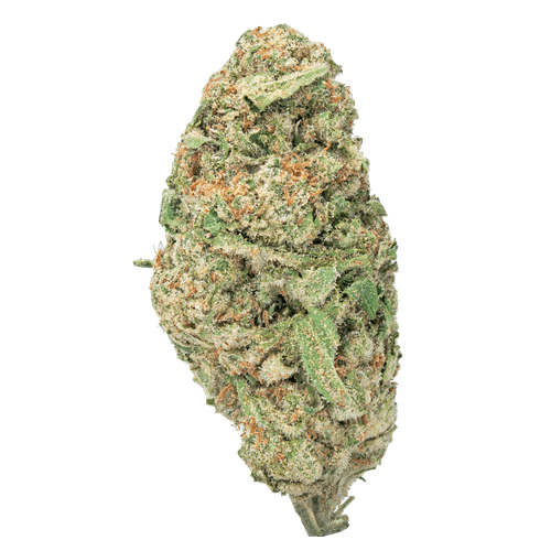 Wicked Gasoline – THCa Flower